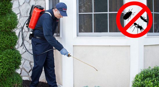 Çobanlar Kene İlaçlama böcek ilaçlama ve haşere kontrolü — ilaclama-tr.com